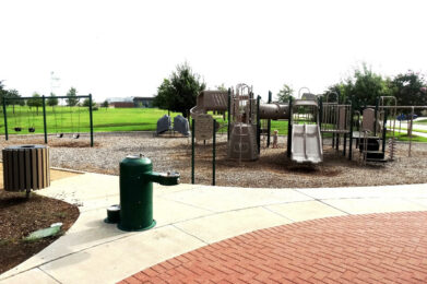 Central Park at Falcon Pointe