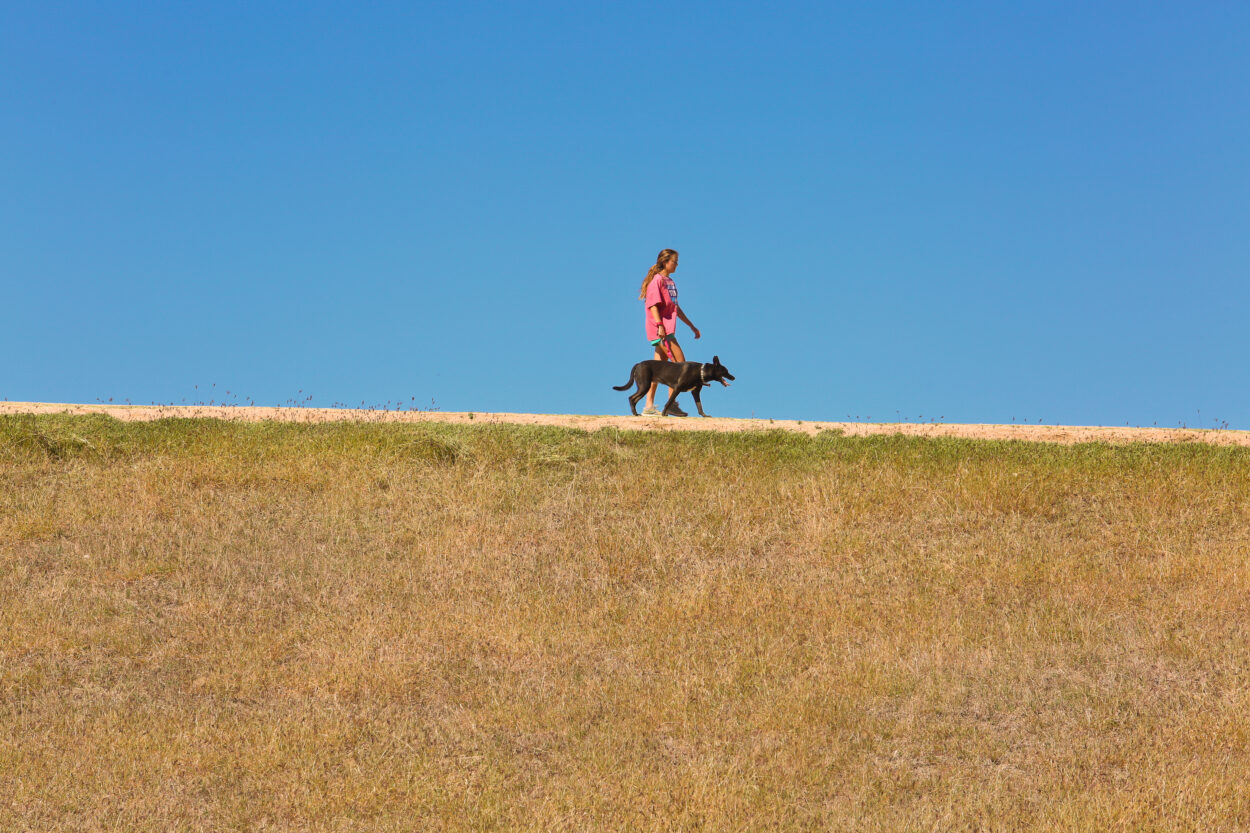a woman walking her dog across a field
